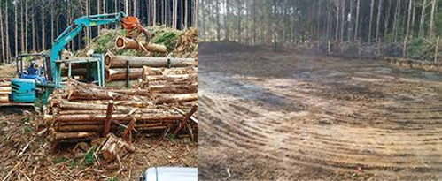林業・整地事業
