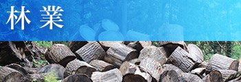 林業